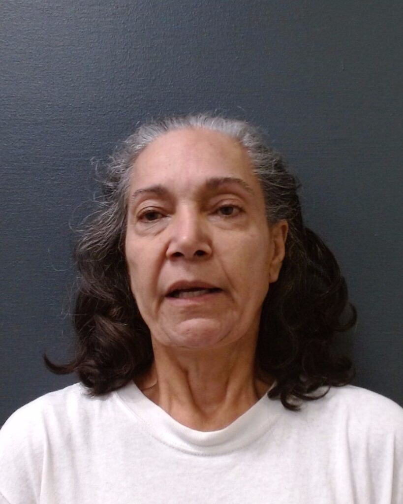 CANO, LUISA M arrested in Comal County, Texas mugshot