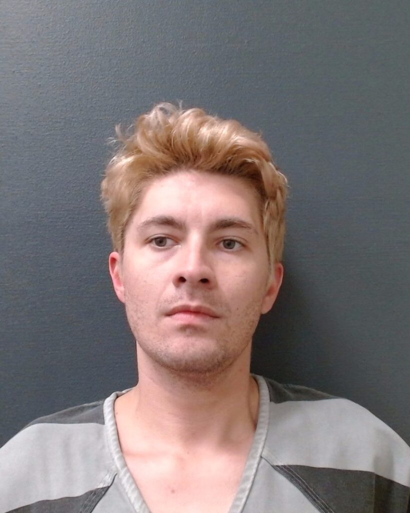 LEDFORD, ASHER TAYLOR arrested in Comal County, Texas mugshot