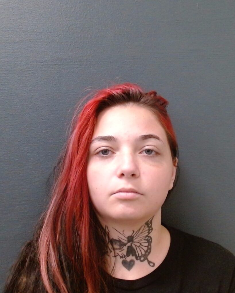 HENDERSON, ELIZABETH LUTHINE arrested in Comal County, Texas mugshot