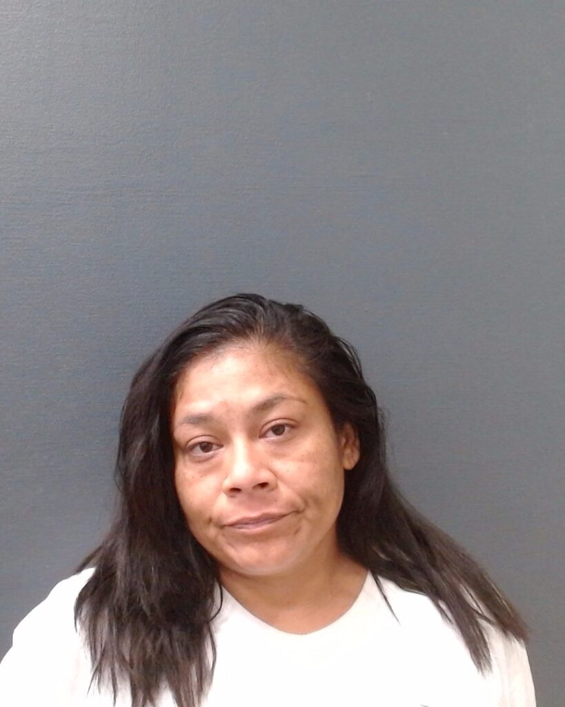 CORONA, NICOLE MAXINE arrested in Comal County, Texas mugshot