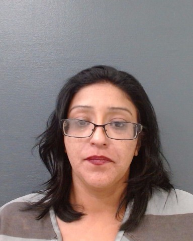 CASTANEDA, AMANDA MARIE booking photo
