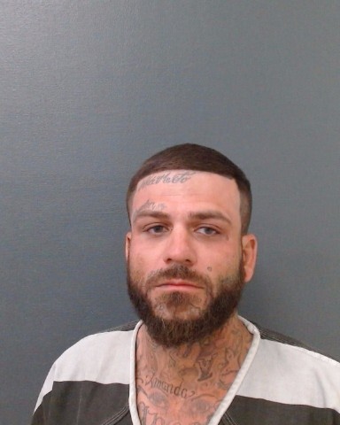 ROWLAND, BRYAN ALBIN booking photo