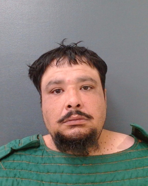 SERNA, RODGER, Jr. booking photo