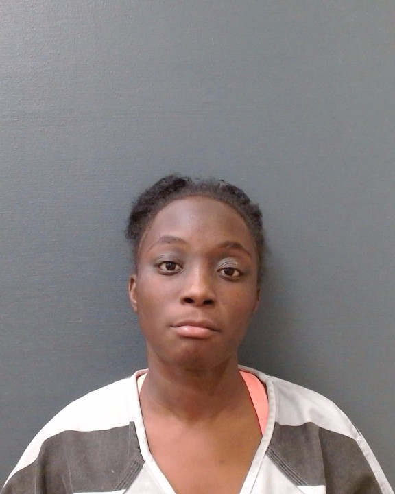 NICHOLSON, MONESTYA TEYANA booking photo