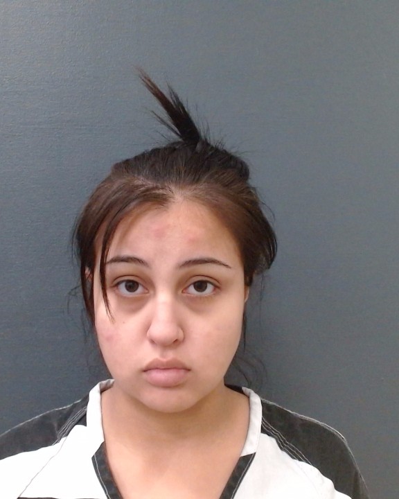 GONZALEZ, NATALIE LYNN booking photo