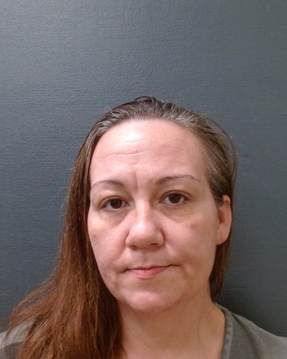 BROWN, REAGAN DAWN booking photo