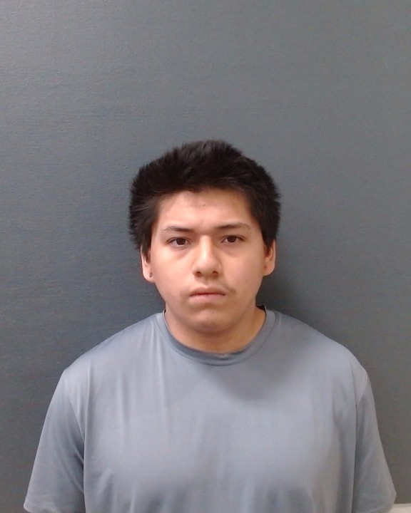 WOLFF, SEBASTIAN GUY booking photo