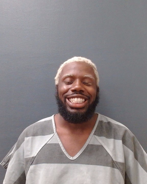 SANTIAGO, ELIAS GERMEIN booking photo