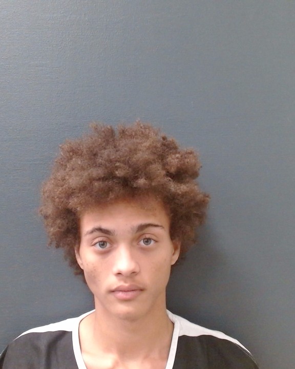 HOLCOMB, WILLIAM CURTIS booking photo