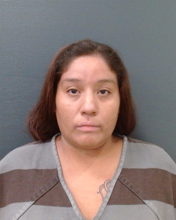 SALAZAR, ELIZABETH ASHLEY booking photo