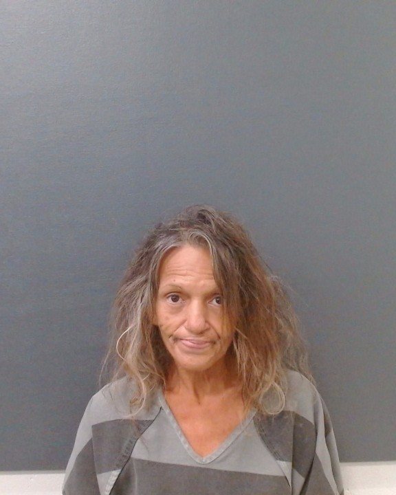 PEREZ, ELIA LINDA booking photo