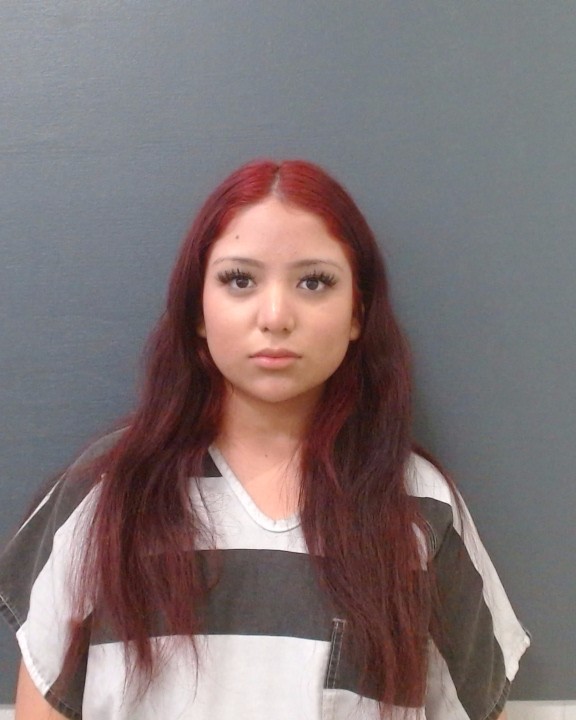 ARREAGA, HILDA booking photo