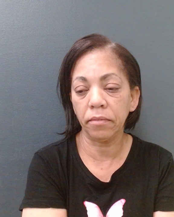 JONES, SANDRA ANN booking photo