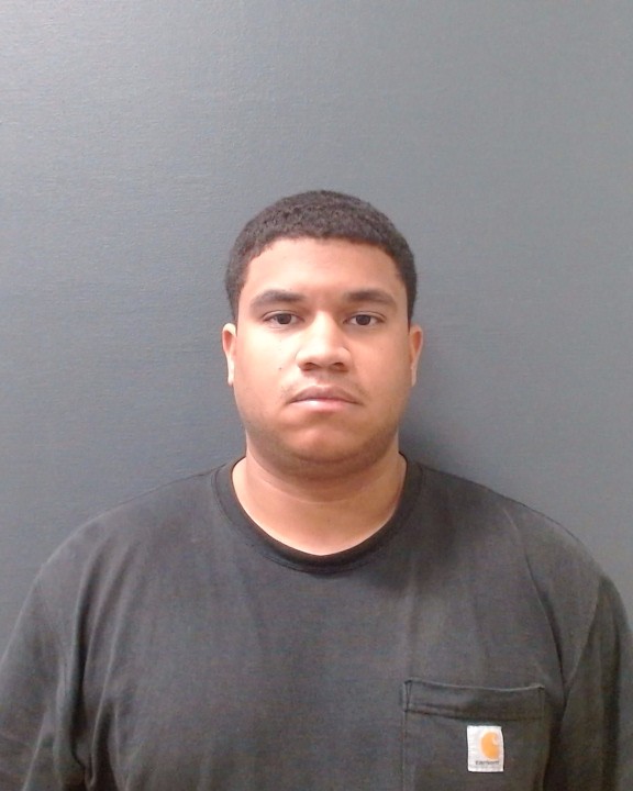 FERNANDEZ DIAZ, LUIS MIGUEL booking photo