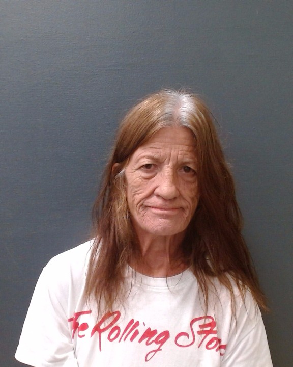 TOMLIN, PENELOPE LYN booking photo