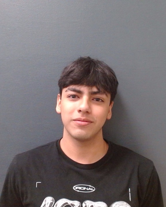 RAMIREZ, JULIAN booking photo