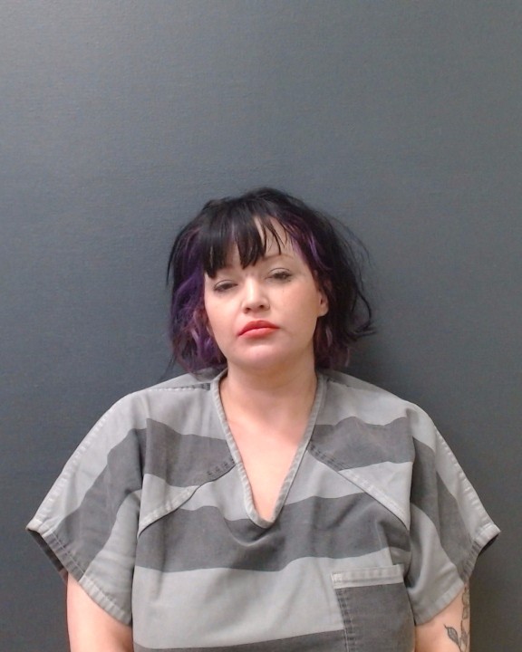 JAMISON, BRIANA CELESTE booking photo
