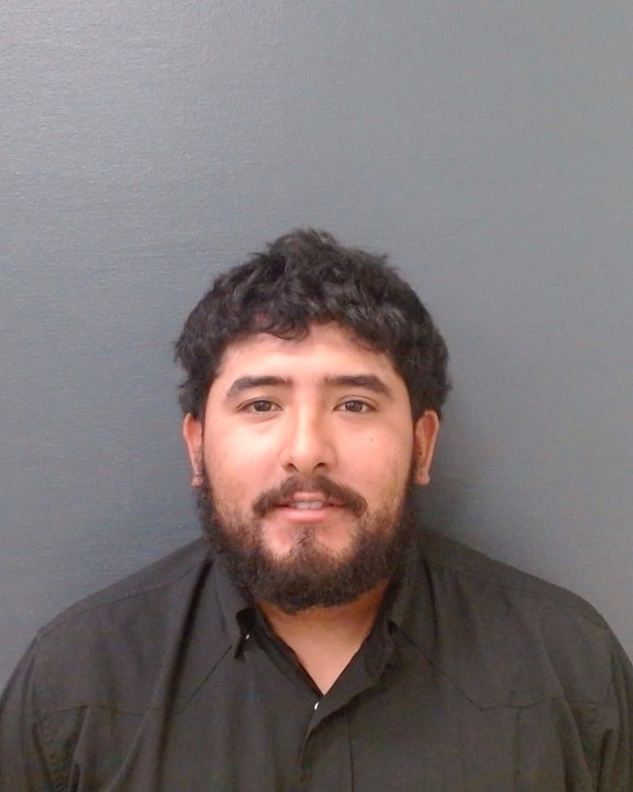 PEREGRINO, JOSE REINALDO booking photo