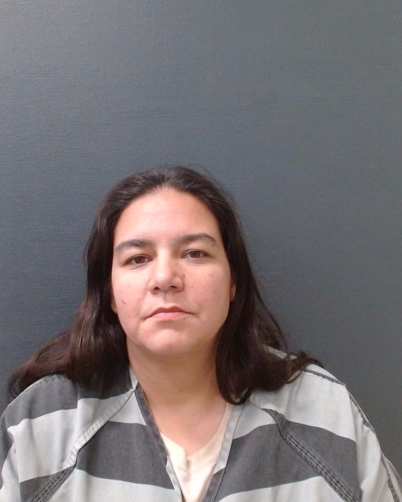 POE, RACHEL NICOLE booking photo