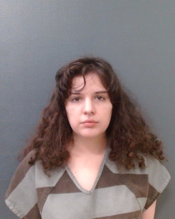 ARNOLD, ALLISON NICOLE booking photo
