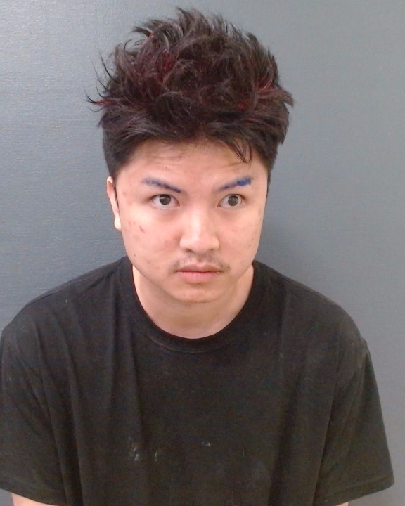 NGUYEN, TY PHU LE booking photo