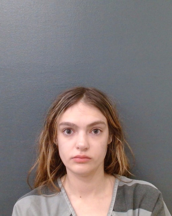 HEARN, ALINA ELIZABETH booking photo