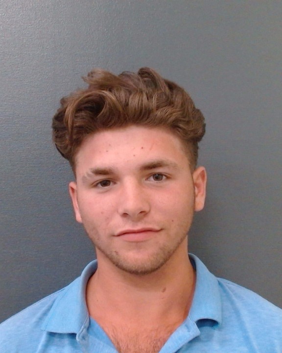 WELLS, ROWDY JAXON booking photo