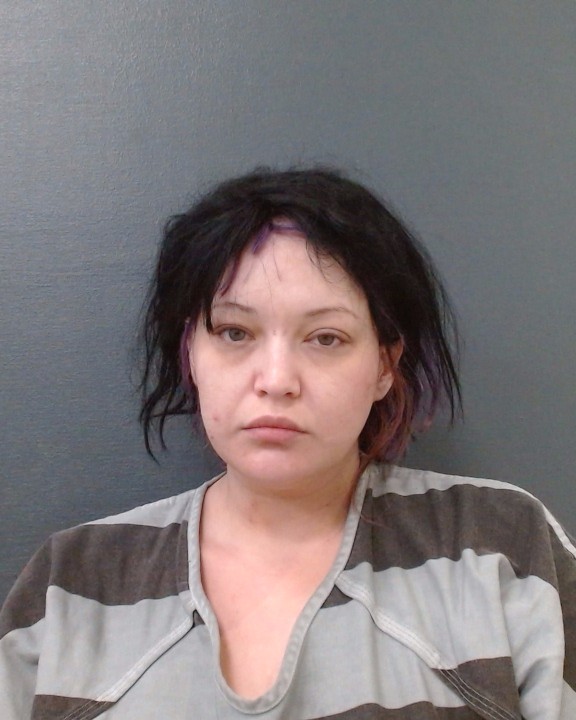 JAMISON, BRIANA CELESTE booking photo