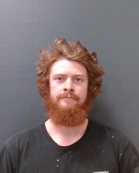 BURT, BAYLEI JENE booking photo