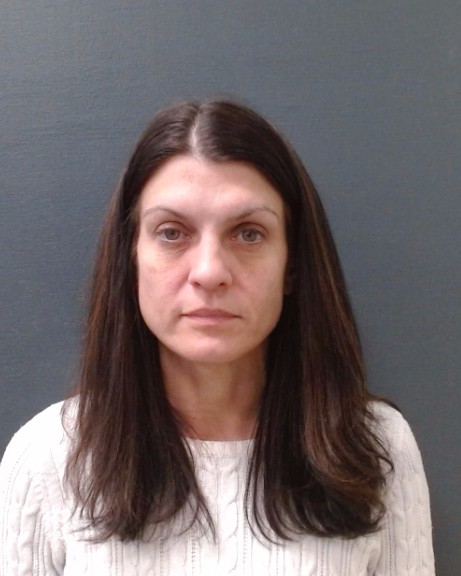 POLLOK, JAMIE LYNN booking photo