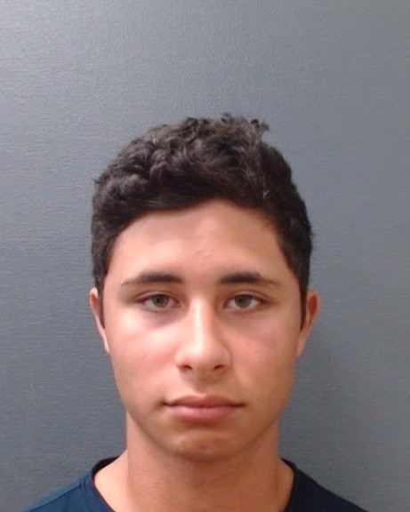 TOUMA ALVAREZ, BASSAM ELIAS booking photo