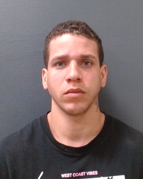 PENA RICARDO, FABIEL booking photo