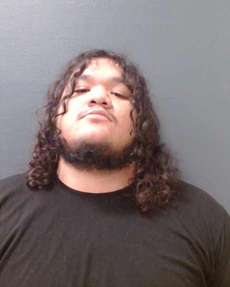 AMARO, FABIAN ALONSO booking photo