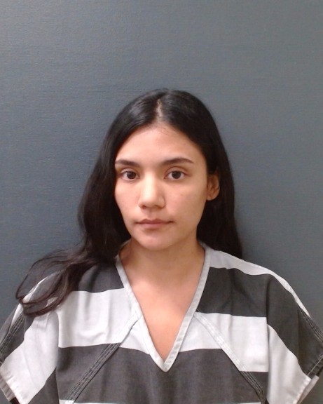 SANCHEZ, DORA AILA booking photo