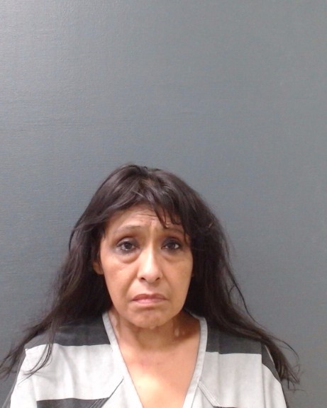 GONZALES ZAVALA, DIANE booking photo