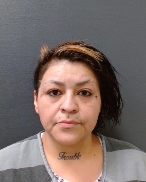 SALAZAR, SYLVIA booking photo