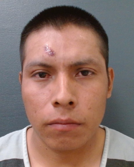 GONZALEZ PASTOR, RICARDO booking photo