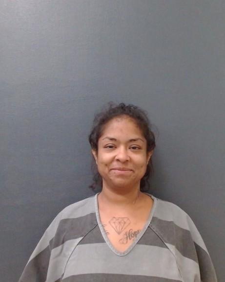 MARES, MARIEL ALEJANDRA booking photo