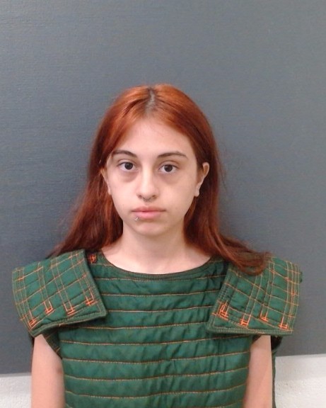 FAVATA, MADISON NICOLE booking photo