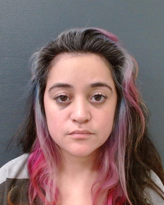 GODINEZ-NELBACH, ARACELI NICOLE booking photo