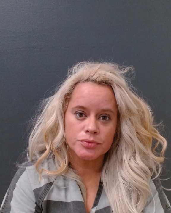 TORREZ, IDALIA booking photo