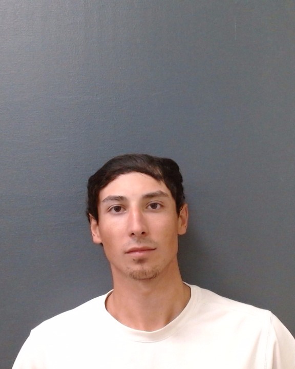 GUAJARDO, JUAN PABLO booking photo