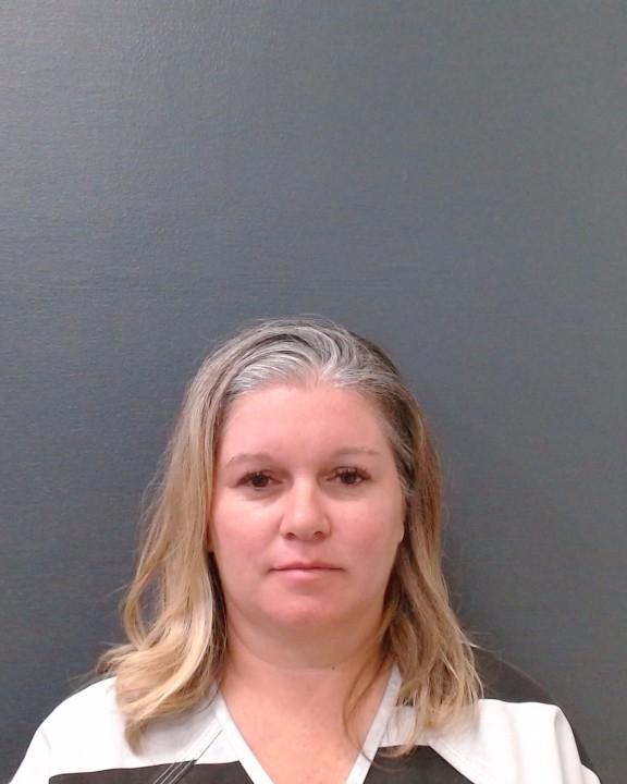 KETCHUM, ROBIN GAIL booking photo