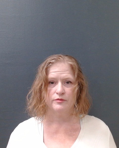 DOSTER, BRANDY MARIE booking photo