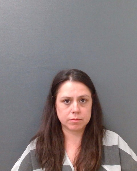 BURTON, BRANDY NICOLE booking photo