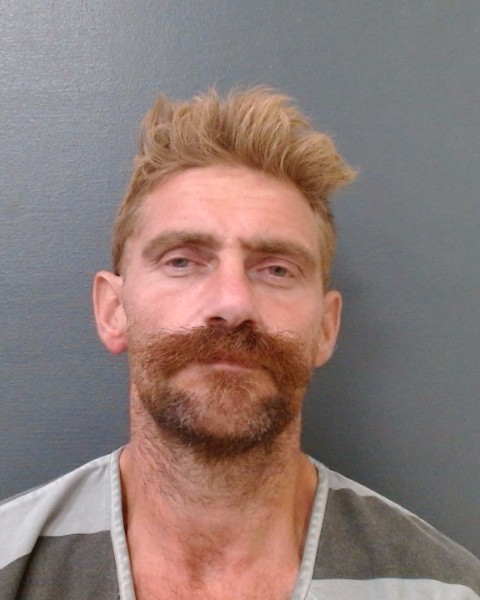 PALMER, HAL WESLEY, Jr. booking photo