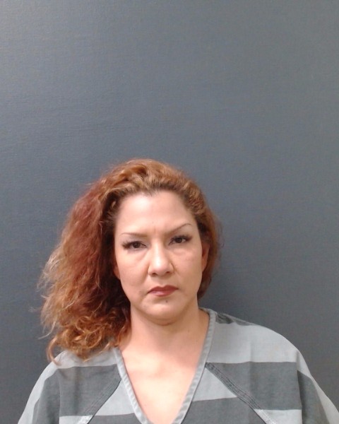 GALLEGOS, MONICA C booking photo