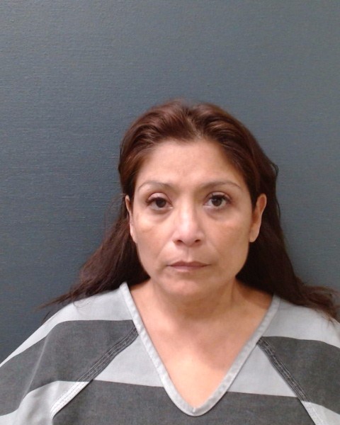 GONZALES, SONIA booking photo