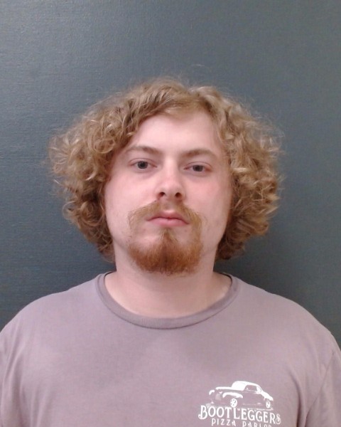 HAWKINS, DAKOTA SKYE booking photo