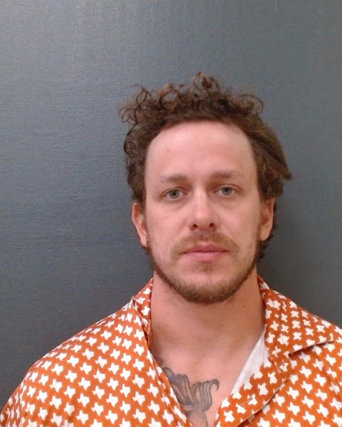 WILLIAMSON, GEORGE M. VII booking photo